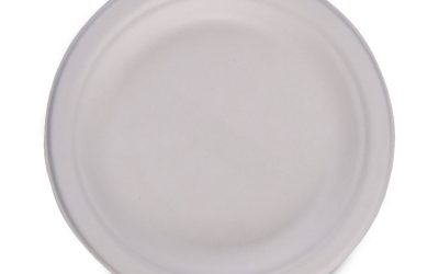 Bagasse Dinnerware, Plate, 6″ Dia, White, 1,000/carton