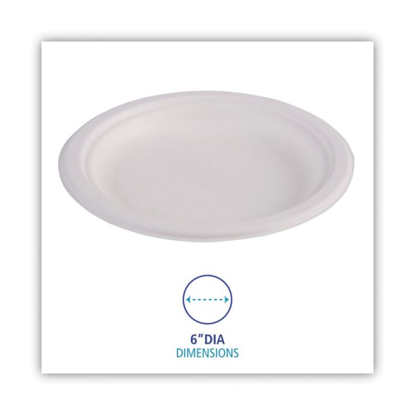 Bagasse Dinnerware, Plate, 6" Dia, White, 1,000/carton - Image 3