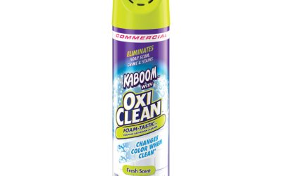 Foamtastic Bathroom Cleaner, Fresh Scent, 19 Oz Spray Can, 8/carton