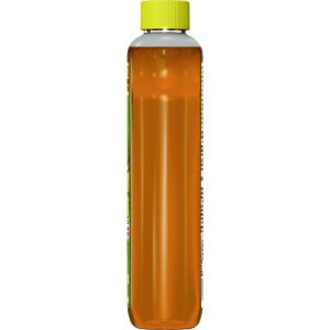 Multi-Surface Cleaner Disinfectant Concentrated, Pine Scent, 14 oz Bottle, 12/Carton