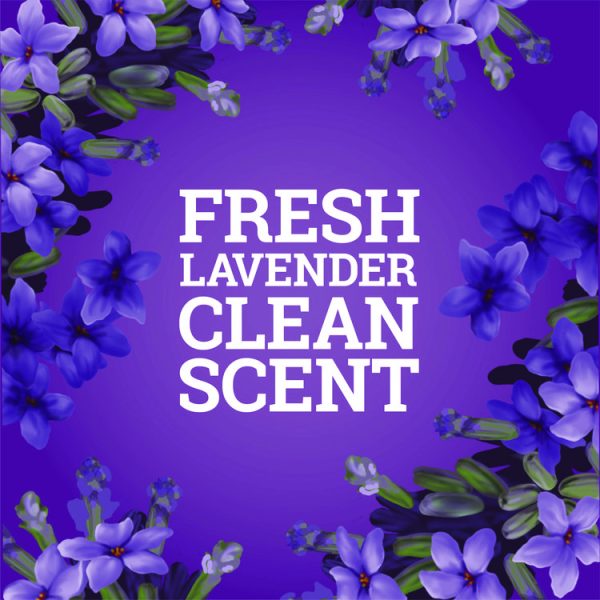 CloroxPro Multi-Surface Cleaner Concentrated, Lavender Clean Scent, 80 oz Bottle, 3/Carton - Image 2