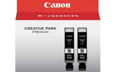 6432b004 (pgi-250xl) Chromalife100+ High-Yield Ink, 500 Page-Yield, Black, 2/pack