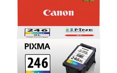 8280b001 (cl-246xl) Chromalife100+ High-Yield Ink, 300 Page-Yield, Tri-Color