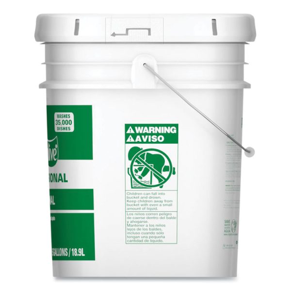 Professional Dishwashing Liquid, Original Scent, 5 Gal Pail - Image 2
