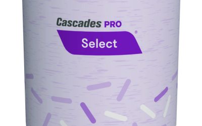 Select Standard Bath Tissue, 1-Ply, White, 1,000/Roll, 96 Rolls/Carton