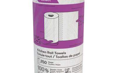 Select Kitchen Roll Towels, 2-Ply, 8 X 11, 250/roll, 12/carton