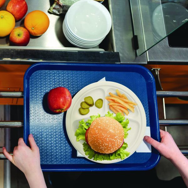 Compostable Fiber Dinnerware, ProPlanet Seal, 3-Compartment Plate, 10" Diameter, Ivory, 500/Carton - Image 5