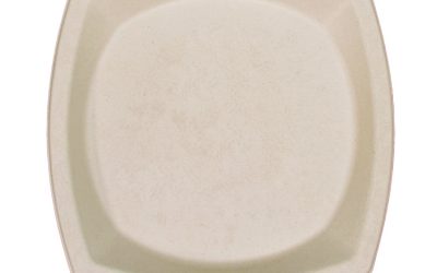Compostable Fiber Dinnerware, ProPlanet Seal, Plate, 10 x 10, Tan, 500/Carton