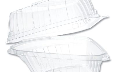 Showtime Clear Hinged Containers, Pie Wedge, 6.67 oz, 6.1 x 5.6 x 3, Clear, Plastic, 125/Pack, 2 Packs/Carton