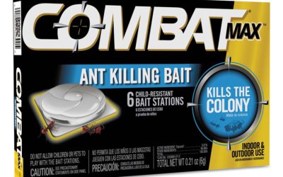 Source Kill MAX Ant Killing Bait, 0.21 oz, 6/Box 12 Boxes/Carton