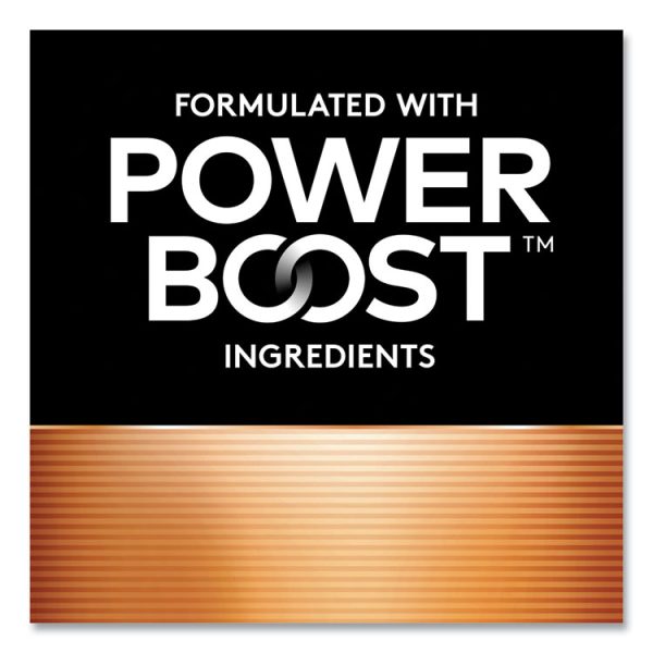 Power Boost CopperTop Alkaline AAA Batteries, 16/Pack - Image 2
