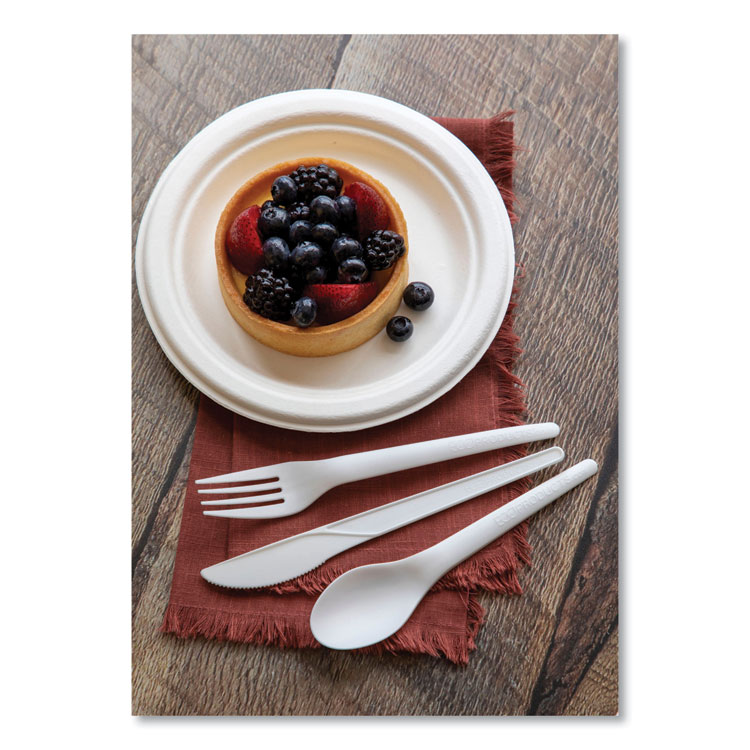 Renewable Sugarcane Plates, 6" dia, Natural White, 1,000/Carton - Image 9