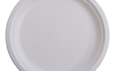 Vanguard Renewable And Compostable Sugarcane Plates, 6″ Dia, White, 1,000/carton