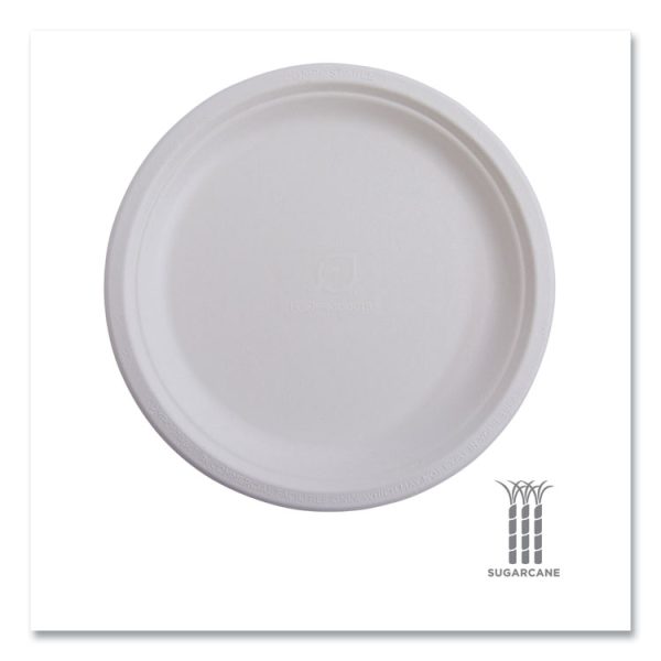 Vanguard Renewable And Compostable Sugarcane Plates, 6" Dia, White, 1,000/carton - Image 6