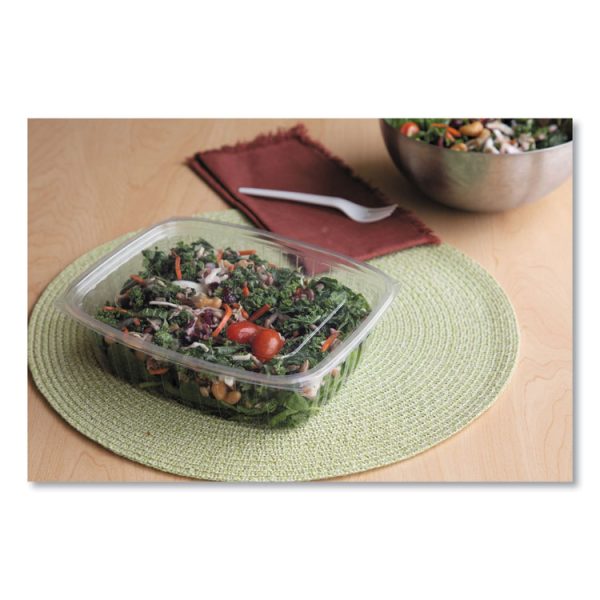 Renewable and Compostable Rectangular Deli Containers, 48 oz, 8 x 6 x 2, Clear, Plastic, 50/Pack, 4 Packs/Carton - Image 3