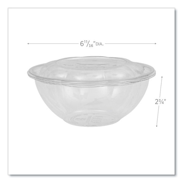 Renewable and Compostable Salad Bowls with Lids, 24 oz, Clear, Plastic, 50/Pack, 3 Packs/Carton - Image 2