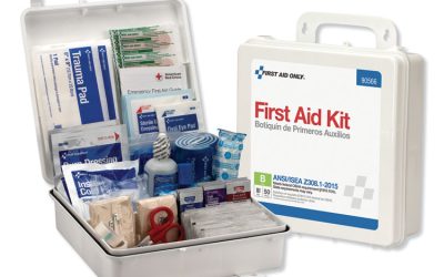 Bulk Ansi 2015 Compliant Class B Type Iii First Aid Kit For 50 People, 199 Pieces, Plastic Case