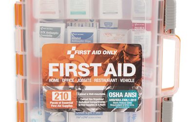 Ansi Class A Bulk First Aid Kit, 210 Pieces, Plastic Case