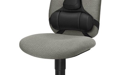 Professional Series Back Support With Microban Protection, 15 X 2 X 14.5, Black