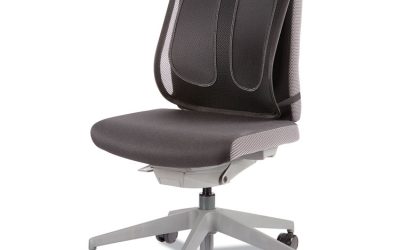 Office Suites Mesh Back Support, 17.3 X 5.56 X 20.18, Black