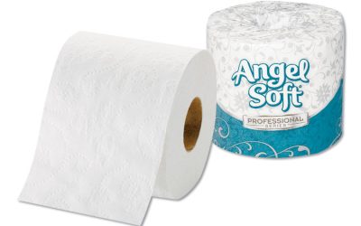 Angel Soft Ps Premium Bathroom Tissue, Septic Safe, 2-Ply, White, 450 Sheets/roll, 80 Rolls/carton