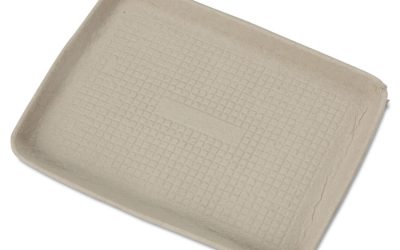 StrongHolder Molded Fiber Food Trays, 1-Compartment, 9 x 12 x 1, Beige, Paper, 250/Carton