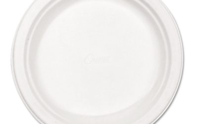 Paper Dinnerware, Plate, 8.75″ Dia, White, 500/carton