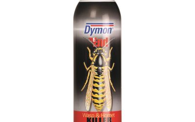THE END. Wasp and Hornet Killer, 12 oz Aerosol Spray, 12/Carton