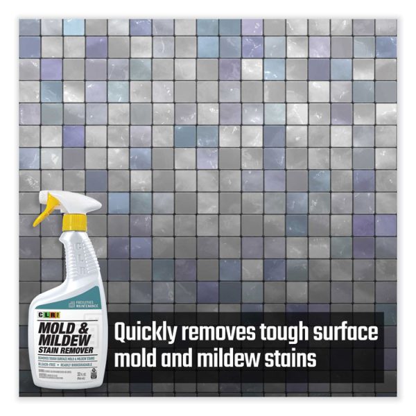Mold and Mildew Stain Remover, 32 oz Spray Bottle, 6/Carton - Image 4