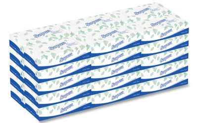 Facial Tissue for Business, 2-Ply, White, Flat Box, 100 Sheets/Box, 30 Boxes/Carton