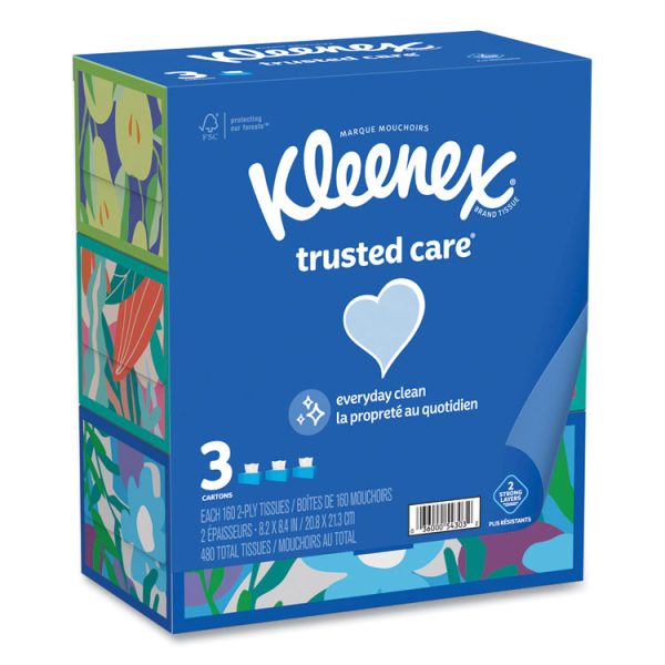 Trusted Care Facial Tissue, 2-Ply, White, 160 Sheets/Box, 3 Boxes/Pack, 12 Packs/Carton