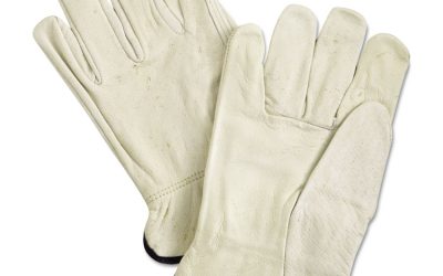 Unlined Pigskin Driver Gloves, Cream, X-Large, 12 Pairs