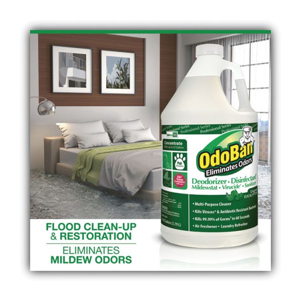 Concentrated Odor Eliminator, Eucalyptus, 1 Gal Bottle, 4/carton - Image 2