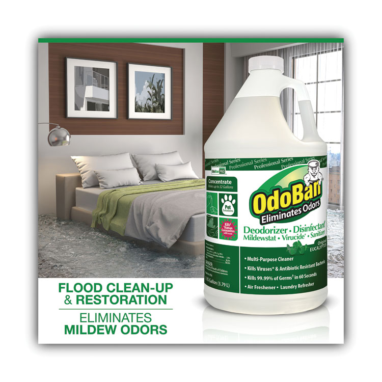 Concentrated Odor Eliminator, Eucalyptus, 1 Gal Bottle, 4/carton - Image 2