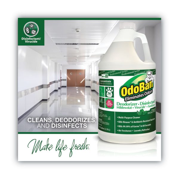Concentrated Odor Eliminator, Eucalyptus, 1 Gal Bottle, 4/carton - Image 3