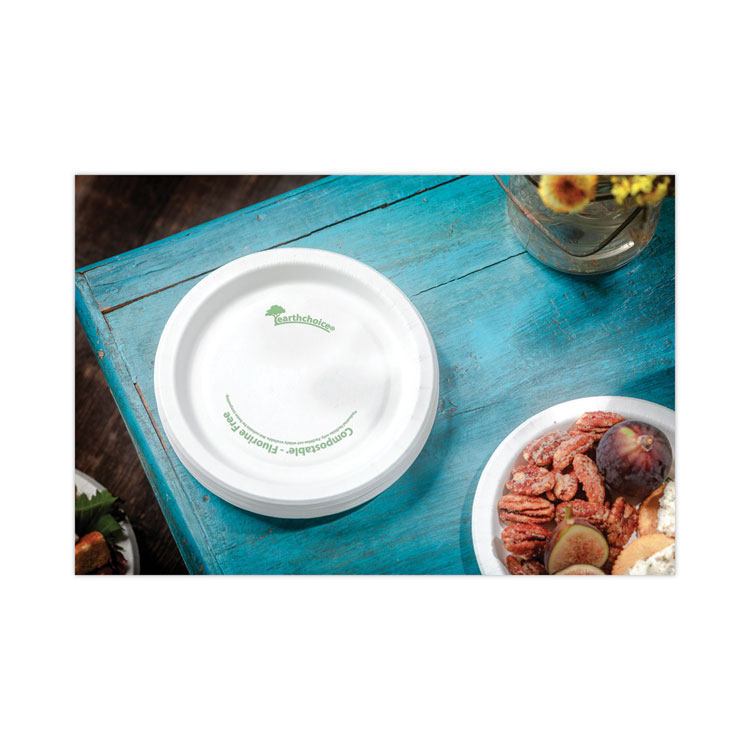 Earthchoice Pressware Compostable Dinnerware, Plate, 9" Dia, White, 450/carton - Image 3