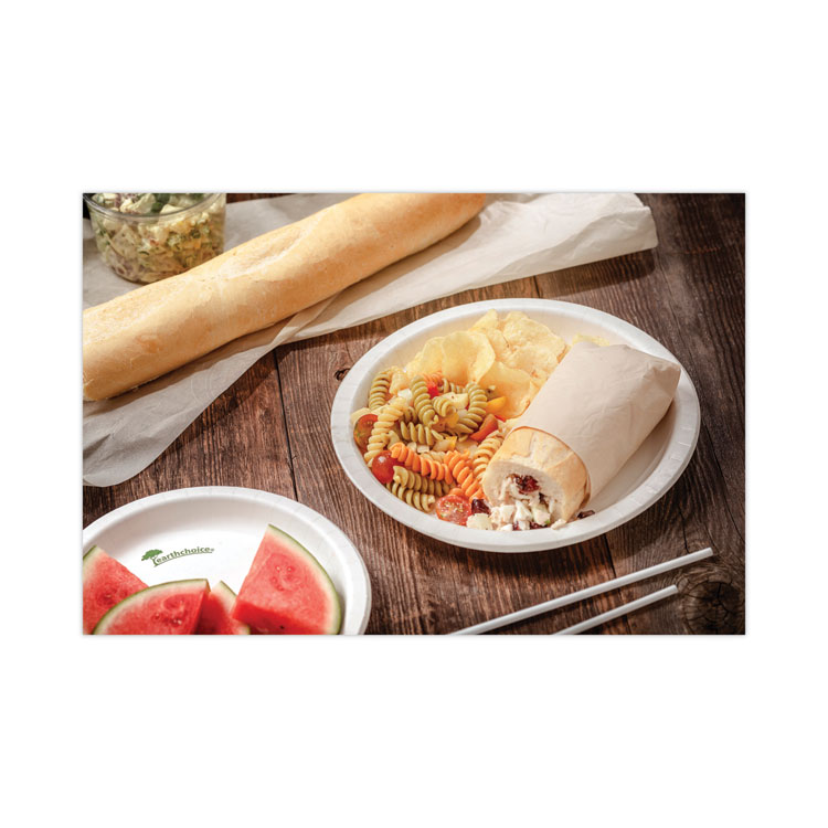 Earthchoice Pressware Compostable Dinnerware, Plate, 9" Dia, White, 450/carton - Image 5