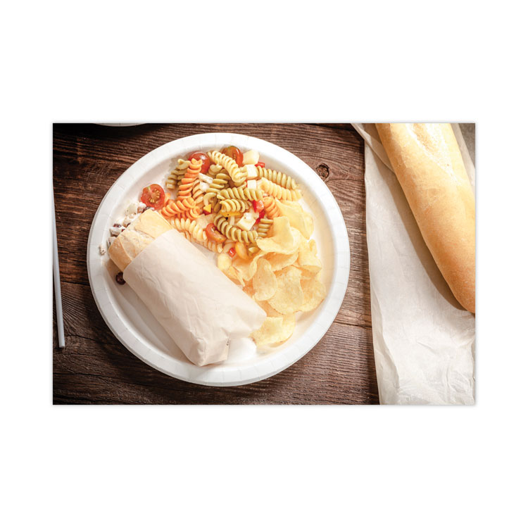 Earthchoice Pressware Compostable Dinnerware, Plate, 9" Dia, White, 450/carton - Image 6