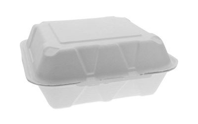 EarthChoice Bagasse Hinged Lid Container, Dual Tab Lock Large Container, 9 x 9 x 3.5, Natural, Sugarcane, 150/Carton