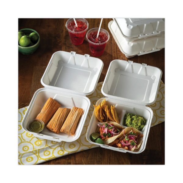 EarthChoice Bagasse Hinged Lid Container, Dual Tab Lock Large Container, 9 x 9 x 3.5, Natural, Sugarcane, 150/Carton - Image 5