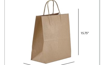 Kraft Paper Bags, Regal, 12 X 9 X 15.75, Natural, 200/carton