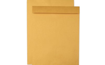 Jumbo Size Kraft Envelope, Cheese Blade Flap, Fold-Over Closure, 15 x 20, Brown Kraft, 25/Pack