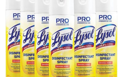 Disinfectant Spray, Original Scent, 19 Oz Aerosol Spray, 12/carton