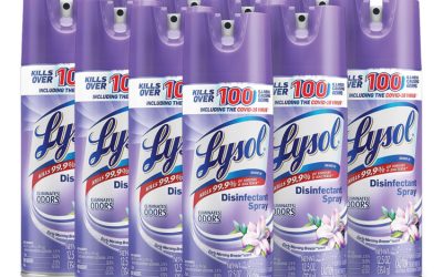 Disinfectant Spray, Early Morning Breeze, 12.5 Oz Aerosol Spray, 12/carton