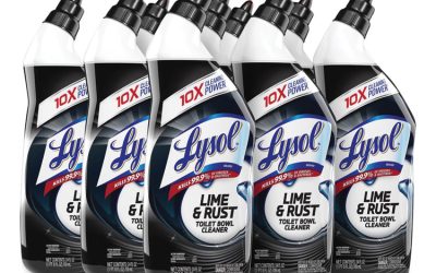Disinfectant Toilet Bowl Cleaner w/Lime/Rust Remover, Atlantic Fresh, 24 oz, 9/Carton