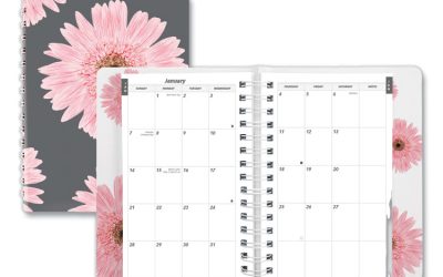 Pink Ribbon Essential Daily Appointment Book, Daisy Artwork, 8 x 5, Navy/Gray/Pink Cover, 12-Month (Jan to Dec): 2024