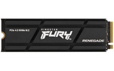 1000G RENEGADE PCIe 4.0 SSD