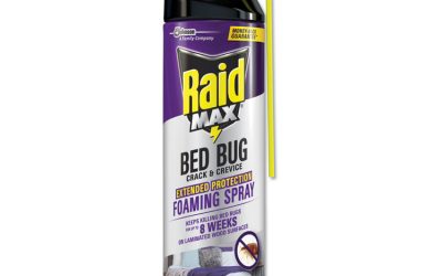 Foaming Crack and Crevice Bed Bug Killer, 17.5 oz Aerosol Spray, 6/Carton