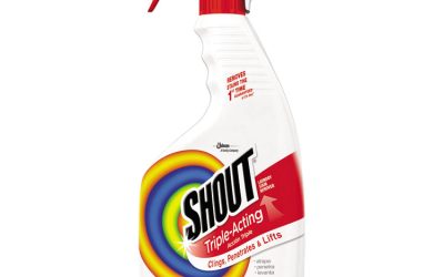 Laundry Stain Treatment, 22 Oz Spray Bottle, 8/carton