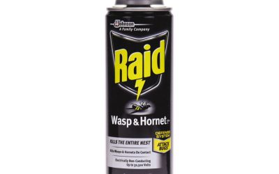Wasp and Hornet Killer, 14 oz Aerosol Spray, 12/Carton
